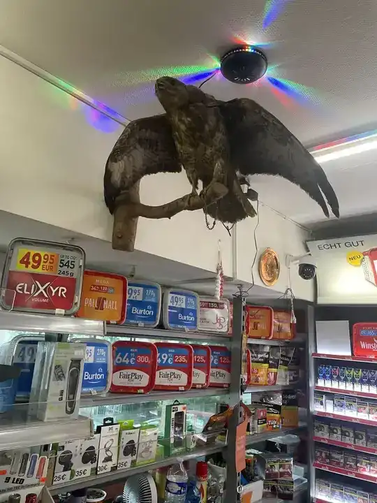 Adler Kiosk Wiesbaden